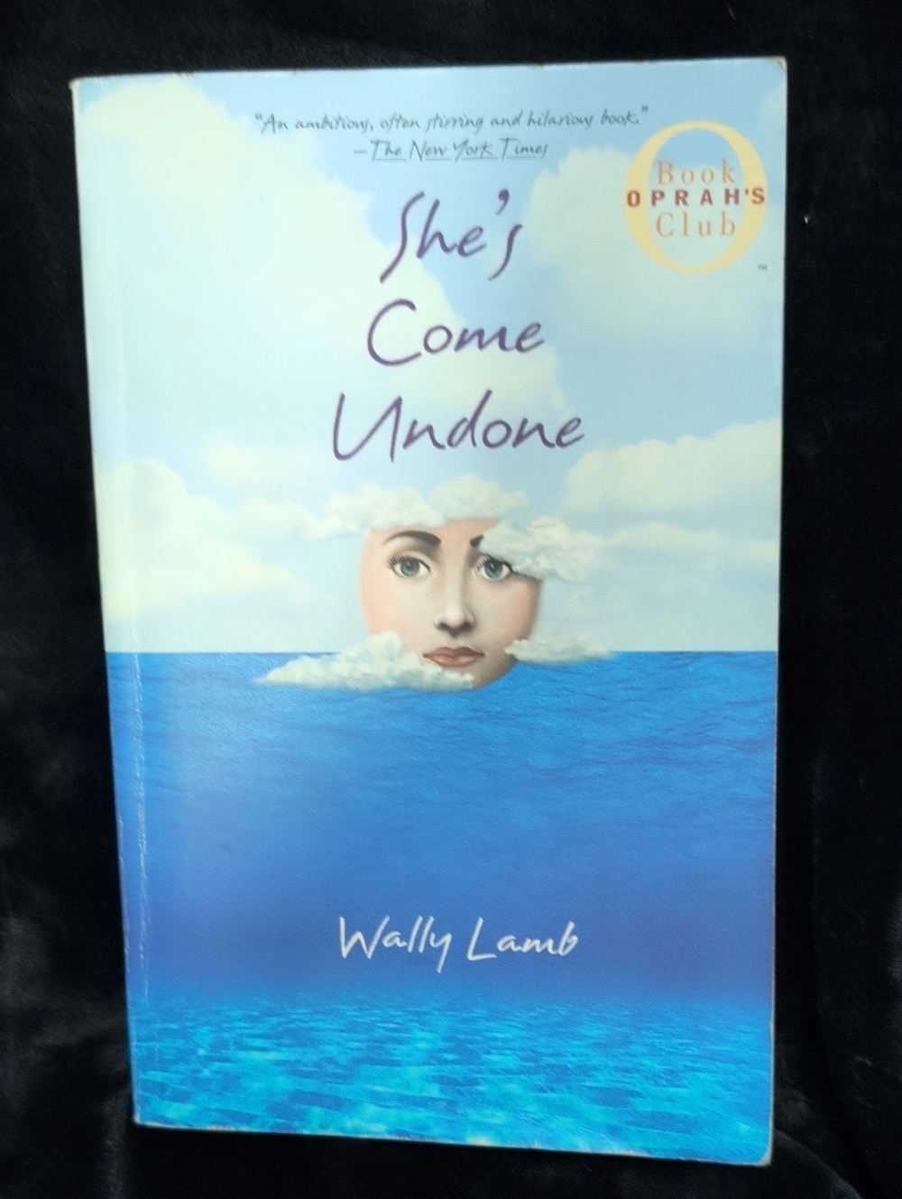She's Come Undone by Wally Lamb